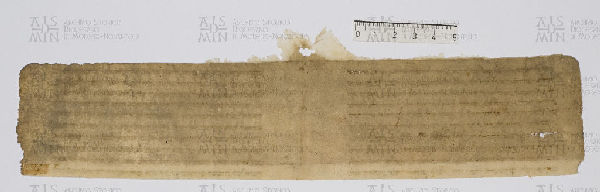 Pergamene ebraiche ACAMO 2-63, s.s - 36.3b