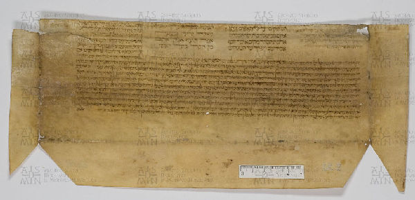 Pergamene ebraiche ACAMO 2-63, s.s - 38.2a