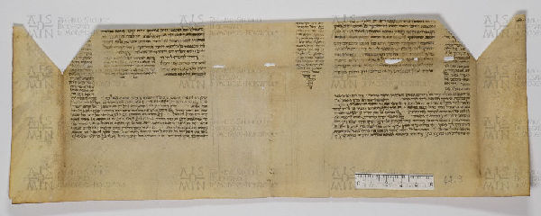 Pergamene ebraiche ACAMO 2-63, s.s - 42.3a