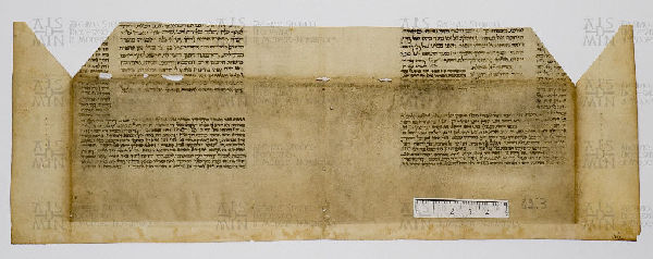 Pergamene ebraiche ACAMO 2-63, s.s - 42.3b