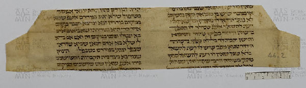 Pergamene ebraiche ACAMO 2-63, s.s - 44.2a