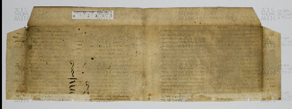 Pergamene ebraiche ACAMO 2-63, s.s - 45.3b