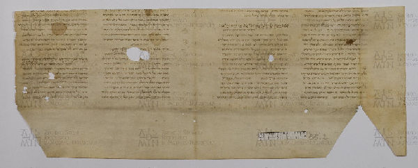 Pergamene ebraiche ACAMO 2-63, s.s - 55.2a