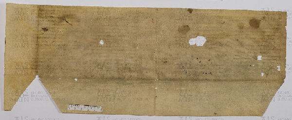 Pergamene ebraiche ACAMO 2-63, s.s - 55.2b