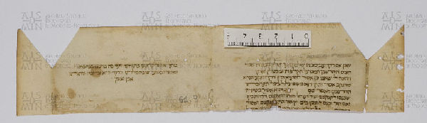 Pergamene ebraiche ACAMO 2-63, s.s - 61.3a
