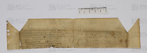 Pergamene ebraiche ACAMO 2-63, s.s - 61.3b