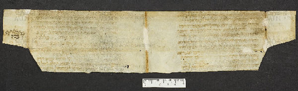 Pergamene ebraiche ACMO 1-103, App. 1-3 - pag. 3b