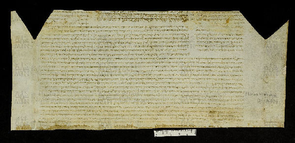 Pergamene ebraiche ACMO 1-103, App. 1-3 - pag. 11.2a