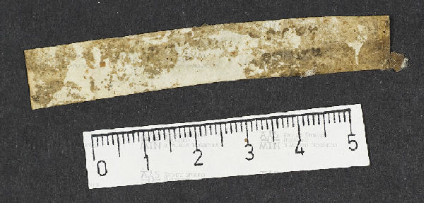 Pergamene ebraiche ACMO 1-103, App. 1-3 - pag. 35.3b