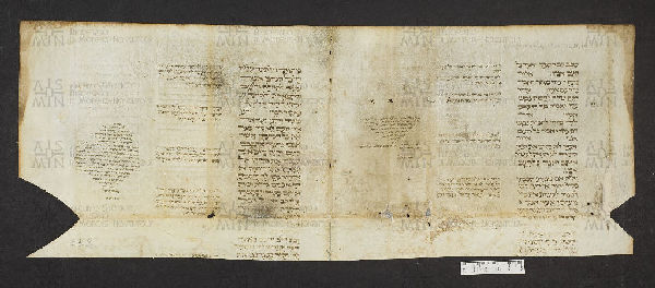 Pergamene ebraiche ACMO 1-103, App. 1-3 - pag. 43.2a