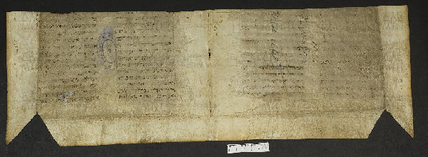 Pergamene ebraiche ACMO 1-103, App. 1-3 - pag. 54.2b