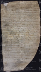 6 A.11.VIr, Investitura fatta da Gotefredo vescovo a favore di Petronio e Roderico da Bazovara, Castello presso CIttanova, 905, mag. 10