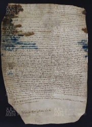 5 B.5.Vr, Investitura fatta da Varino vescovo a favore di David, Modena, 1005, ago. 8