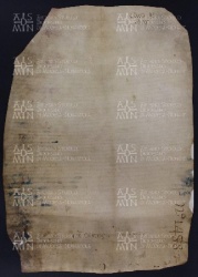 5 B.5.Vv, Investitura fatta da Varino vescovo a favore di David, Modena, 1005, ago. 8