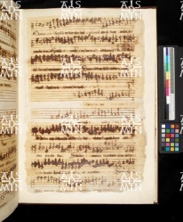 I-MOd 12 Ms. mus. XII - 12