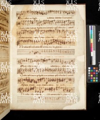 I-MOd 12 Ms. mus. XII - 17