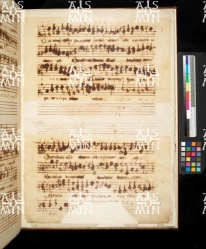 I-MOd 12 Ms. mus. XII - 19