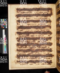 I-MOd 12 Ms. mus. XII - 29v