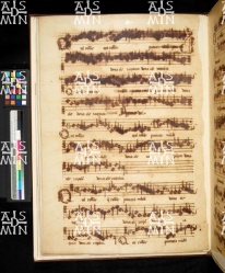 I-MOd 12 Ms. mus. XII - 33v