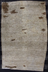 24 A.8.XXVr, Permuta di terre seguita tra Leodoino vescovo ed Eliburga, villa Cornaleto, 887, mag. 5