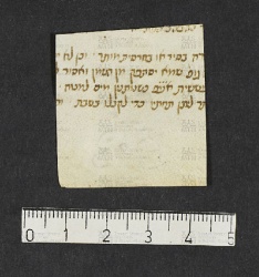 Pergamene ebraiche ACMO 1-103, App. 1-3 - pag. 100.3a