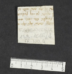 Pergamene ebraiche ACMO 1-103, App. 1-3 - pag. 100.4a
