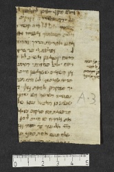 Pergamene ebraiche ACMO 1-103, App. 1-3 - pag. 101.3a
