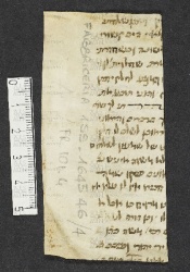 Pergamene ebraiche ACMO 1-103, App. 1-3 - pag. 101.4a