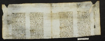 Pergamene ebraiche ACMO 1-103, App. 1-3 - pag. 49.2a