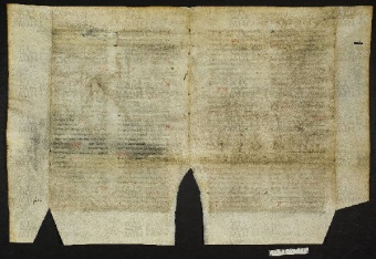 Pergamene ebraiche ACMO 1-103, App. 1-3 - pag. 50.1b