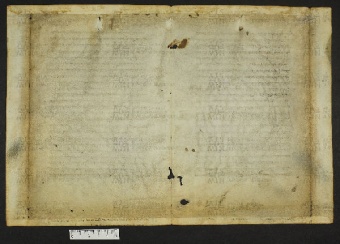 Pergamene ebraiche ACMO 1-103, App. 1-3 - pag. 60.1b