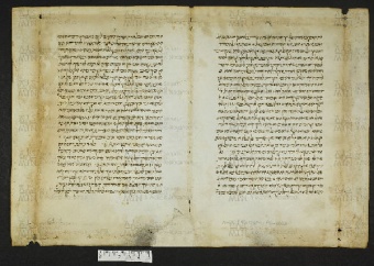 Pergamene ebraiche ACMO 1-103, App. 1-3 - pag. 61.1a