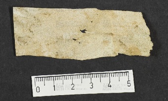 Pergamene ebraiche ACMO 1-103, App. 1-3 - pag. 63.5b