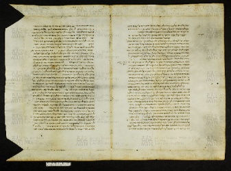 Pergamene ebraiche ACMO 1-103, App. 1-3 - pag. 78.1a