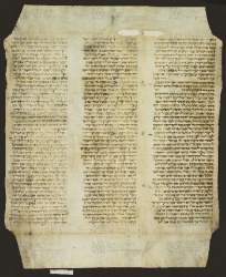 Pergamene ebraiche ACMO 1-103, App. 1-3 - pag. 83a