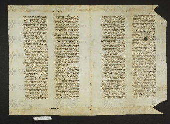 Pergamene ebraiche ACMO 1-103, App. 1-3 - pag. 88.1a