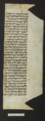 Pergamene ebraiche ACMO 1-103, App. 1-3 - pag. 88.2a
