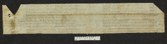Pergamene ebraiche ACMO 1-103, App. 1-3 - pag. 96.3b