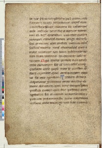 ACMo O.II.11 - pag. 1v