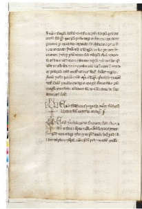 ACMo O.II.11 - pag. 218v