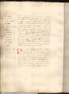 ACMo O.V.32 - pag. 011v