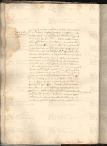 ACMo O.V.32 - pag. 024v