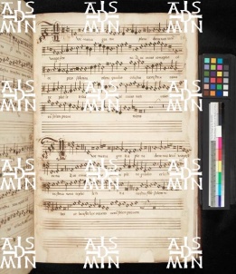 I-MOd 9 Ms. mus. IX - 25