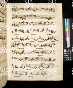 I-MOd 12 Ms. mus. XII - 07