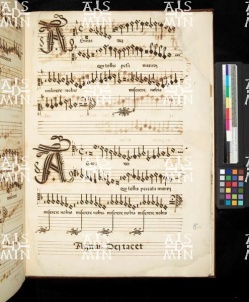 I-MOd 12 Ms. mus. XII - 08