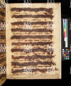 I-MOd 12 Ms. mus. XII - 30