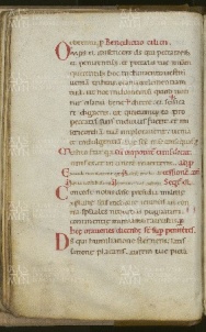 029v