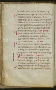 033v