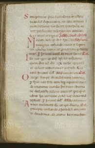 081v