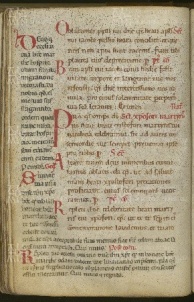 141v